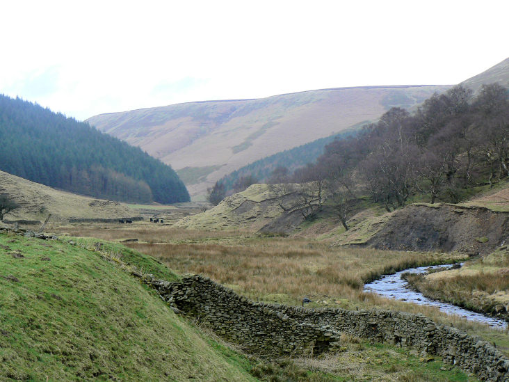 Alport Dale Alport Dale